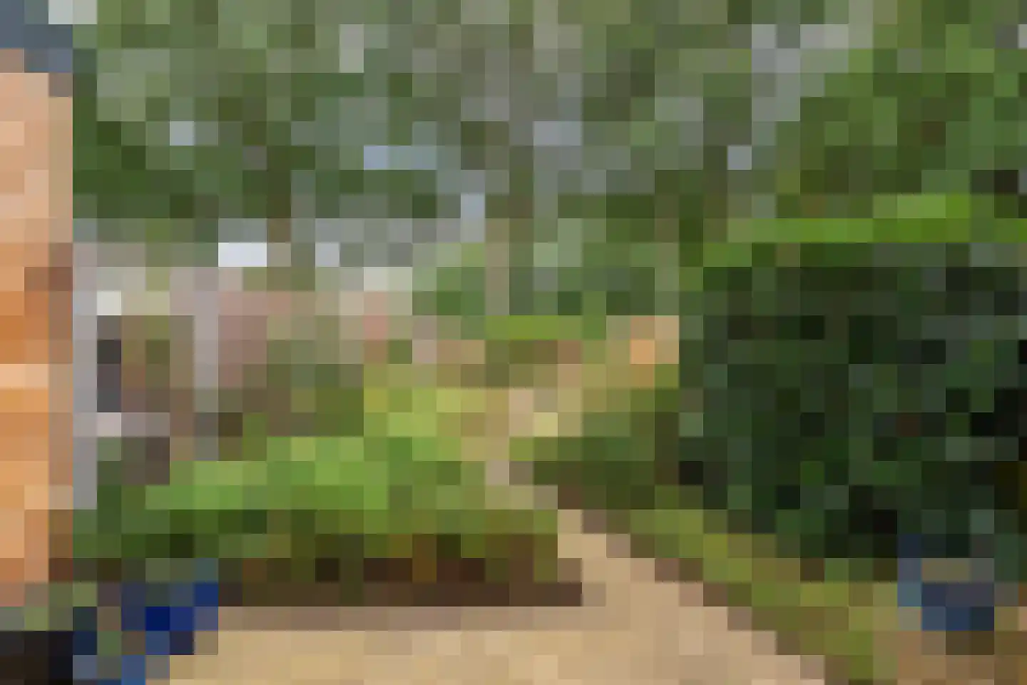 Hobbemastraat 22 Wolvega thumbnail 4