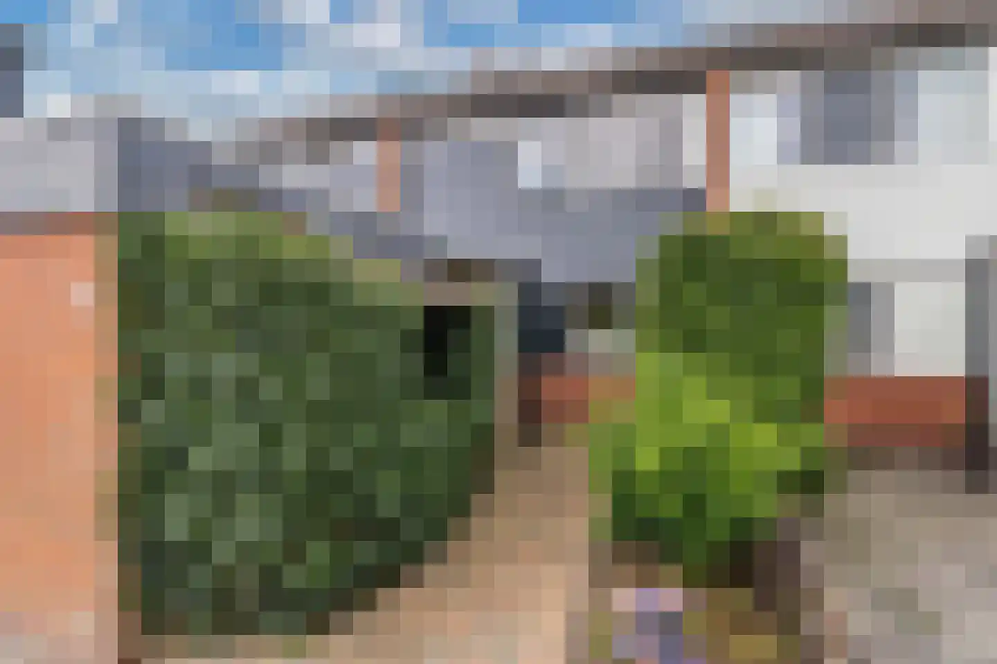 Hobbemastraat 22 Wolvega thumbnail 7
