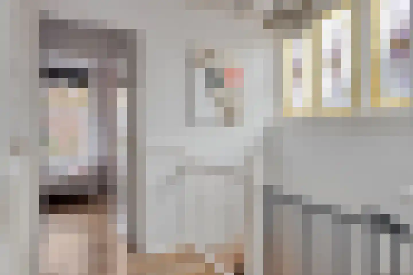 Hobbemastraat 26 Middelharnis thumbnail 23