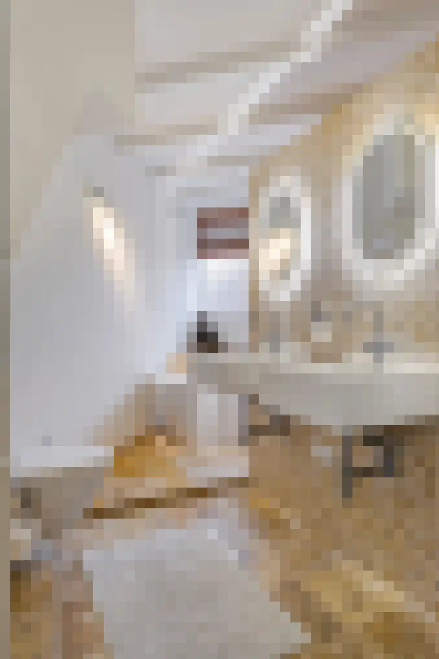 Hobbemastraat 26 Middelharnis thumbnail 28