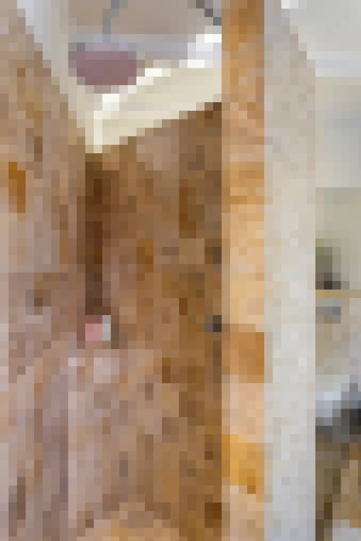 Hobbemastraat 26 Middelharnis thumbnail 29