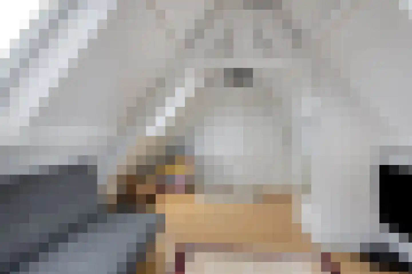 Hobbemastraat 26 Middelharnis thumbnail 35