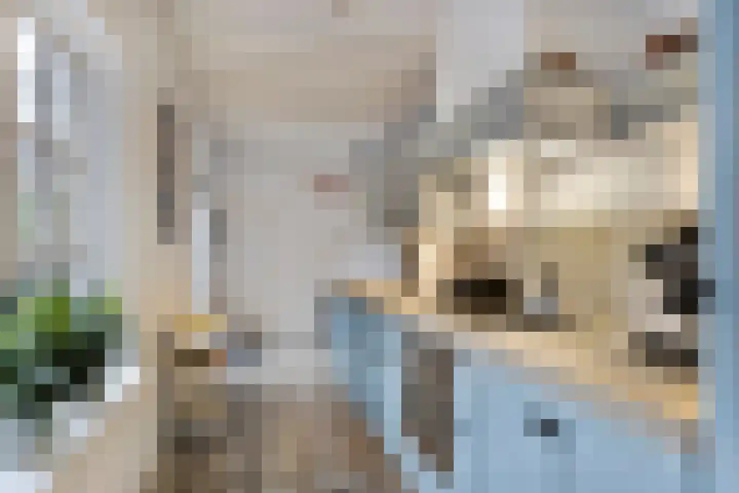 Hobbemastraat 26 Middelharnis thumbnail 4