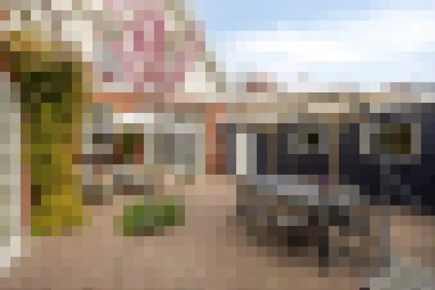 Hobbemastraat 26 Middelharnis thumbnail 5