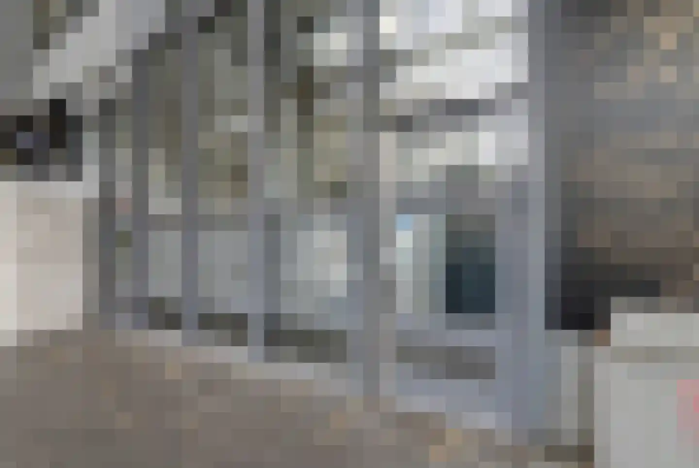 Hobbemastraat 288 Den Haag thumbnail 6