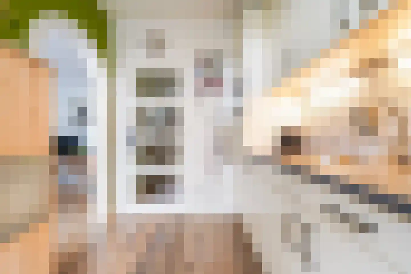 Hobbemastraat 3 Kaatsheuvel thumbnail 10