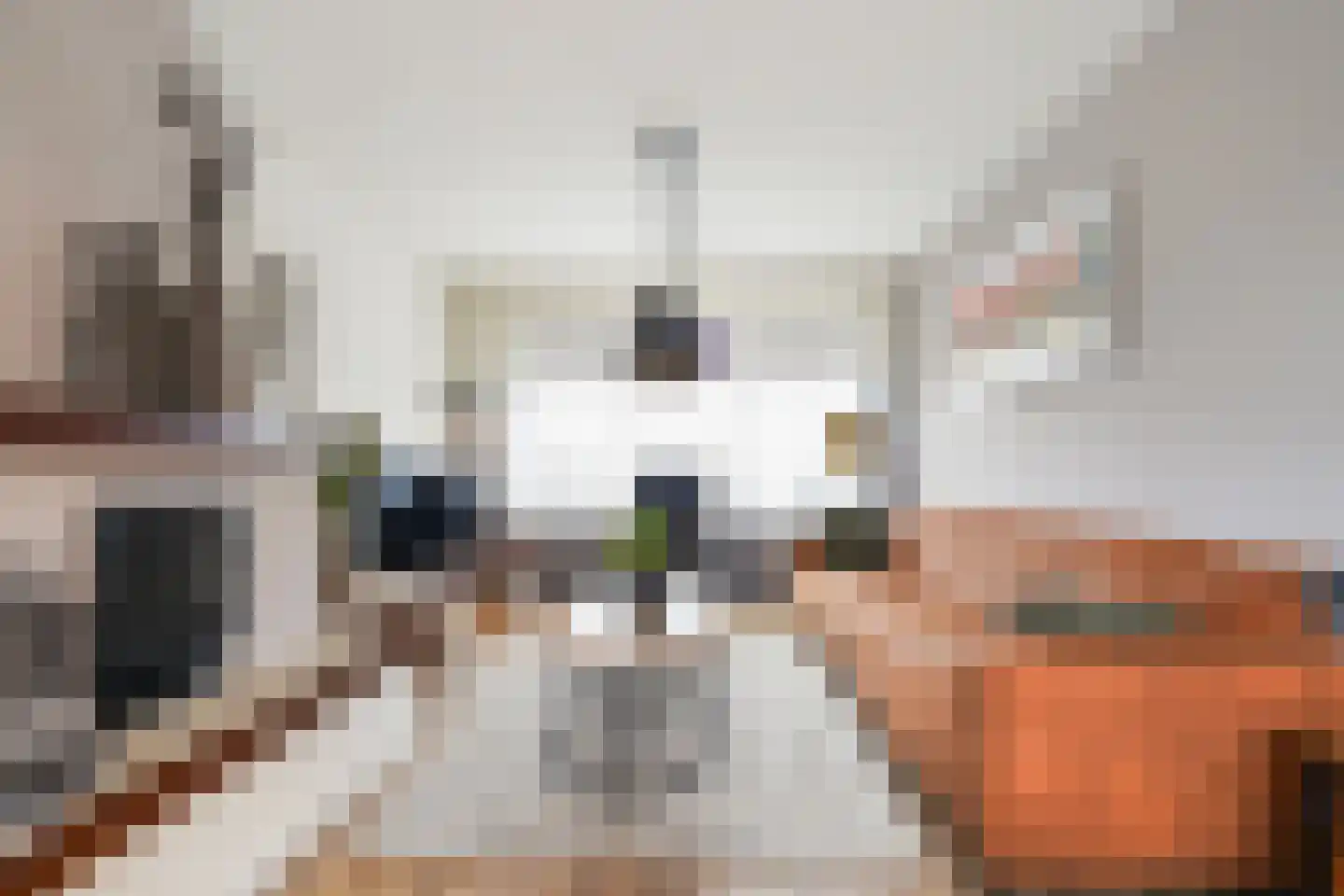 Hobbemastraat 3 Kaatsheuvel thumbnail 13