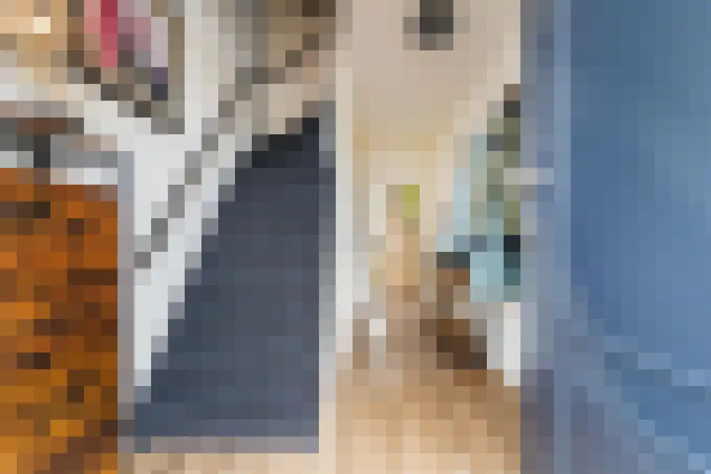 Hobbemastraat 3 Kaatsheuvel thumbnail 6