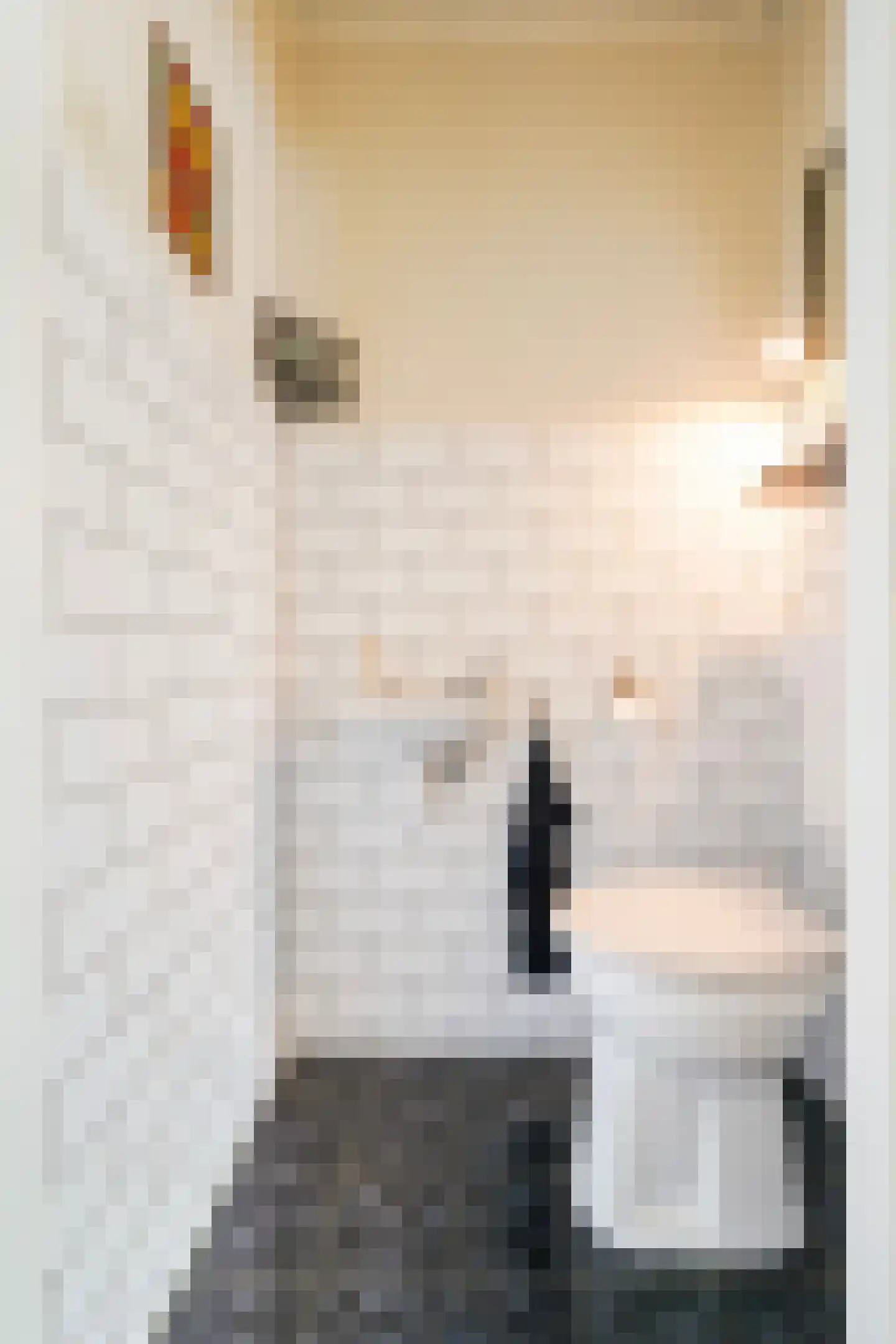 Hobbemastraat 3 Kaatsheuvel thumbnail 7