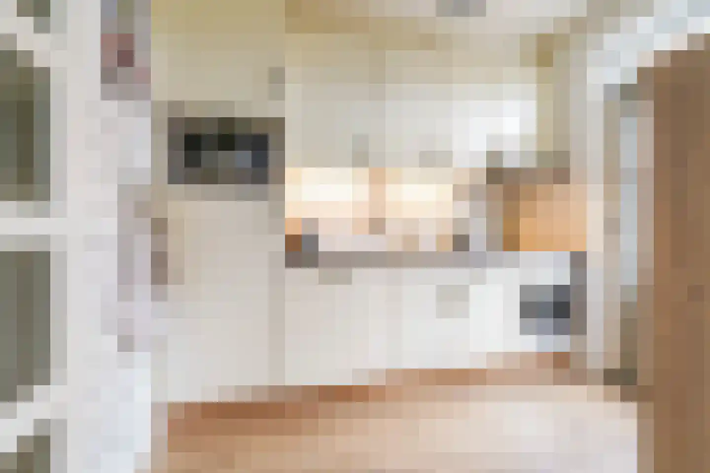 Hobbemastraat 3 Kaatsheuvel thumbnail 9
