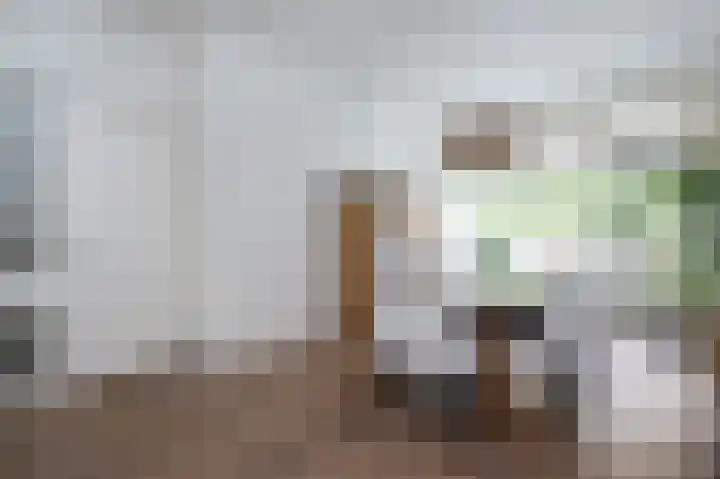 Hobbemastraat 32 Middelharnis thumbnail 13