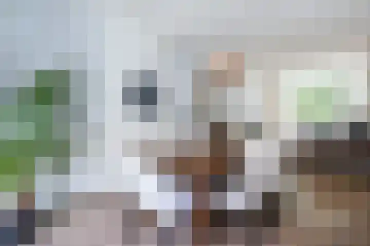 Hobbemastraat 32 Middelharnis thumbnail 14