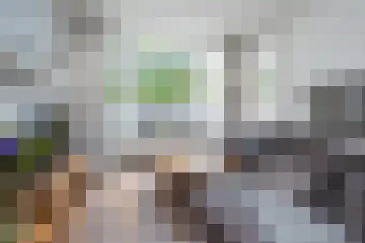 Hobbemastraat 32 Middelharnis thumbnail 16