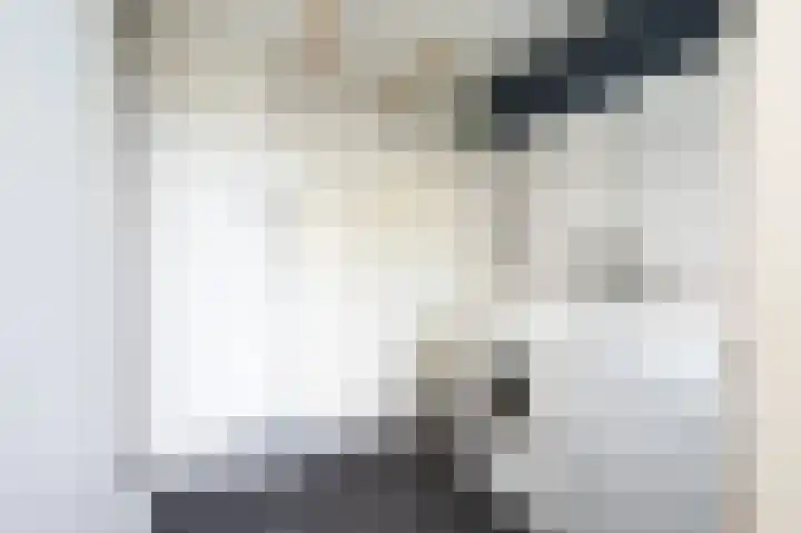 Hobbemastraat 32 Middelharnis thumbnail 18
