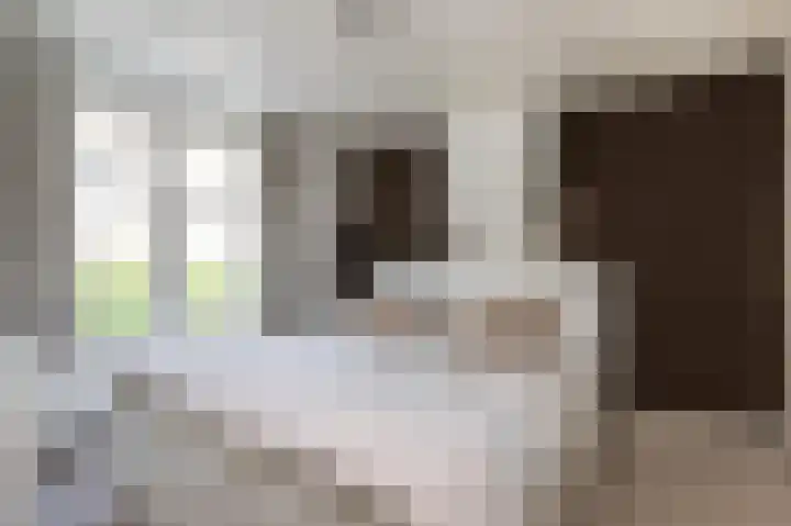 Hobbemastraat 32 Middelharnis thumbnail 21