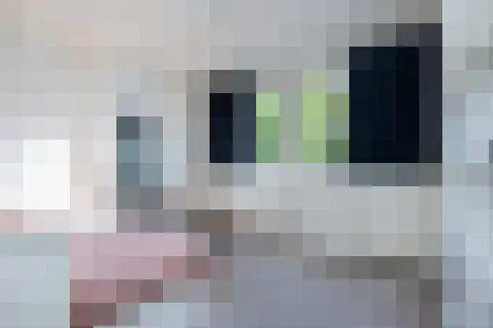 Hobbemastraat 32 Middelharnis thumbnail 23