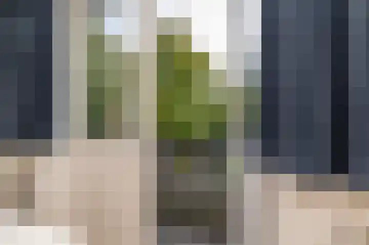 Hobbemastraat 32 Middelharnis thumbnail 25
