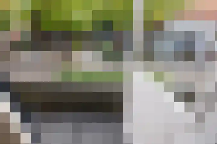 Hobbemastraat 32 Middelharnis thumbnail 26