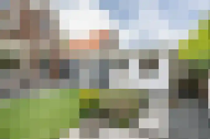 Hobbemastraat 32 Middelharnis thumbnail 34