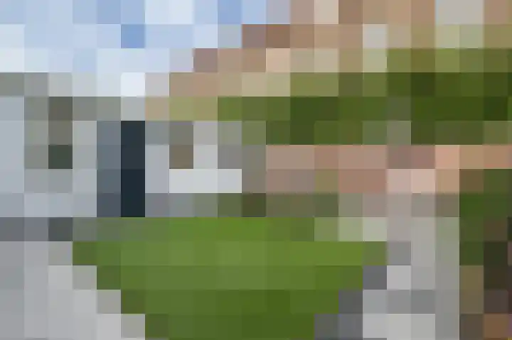 Hobbemastraat 32 Middelharnis thumbnail 35