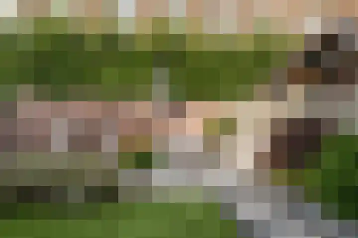Hobbemastraat 32 Middelharnis thumbnail 36