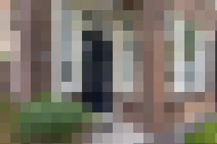 Hobbemastraat 32 Middelharnis thumbnail 5