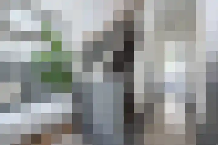 Hobbemastraat 32 Middelharnis thumbnail 7