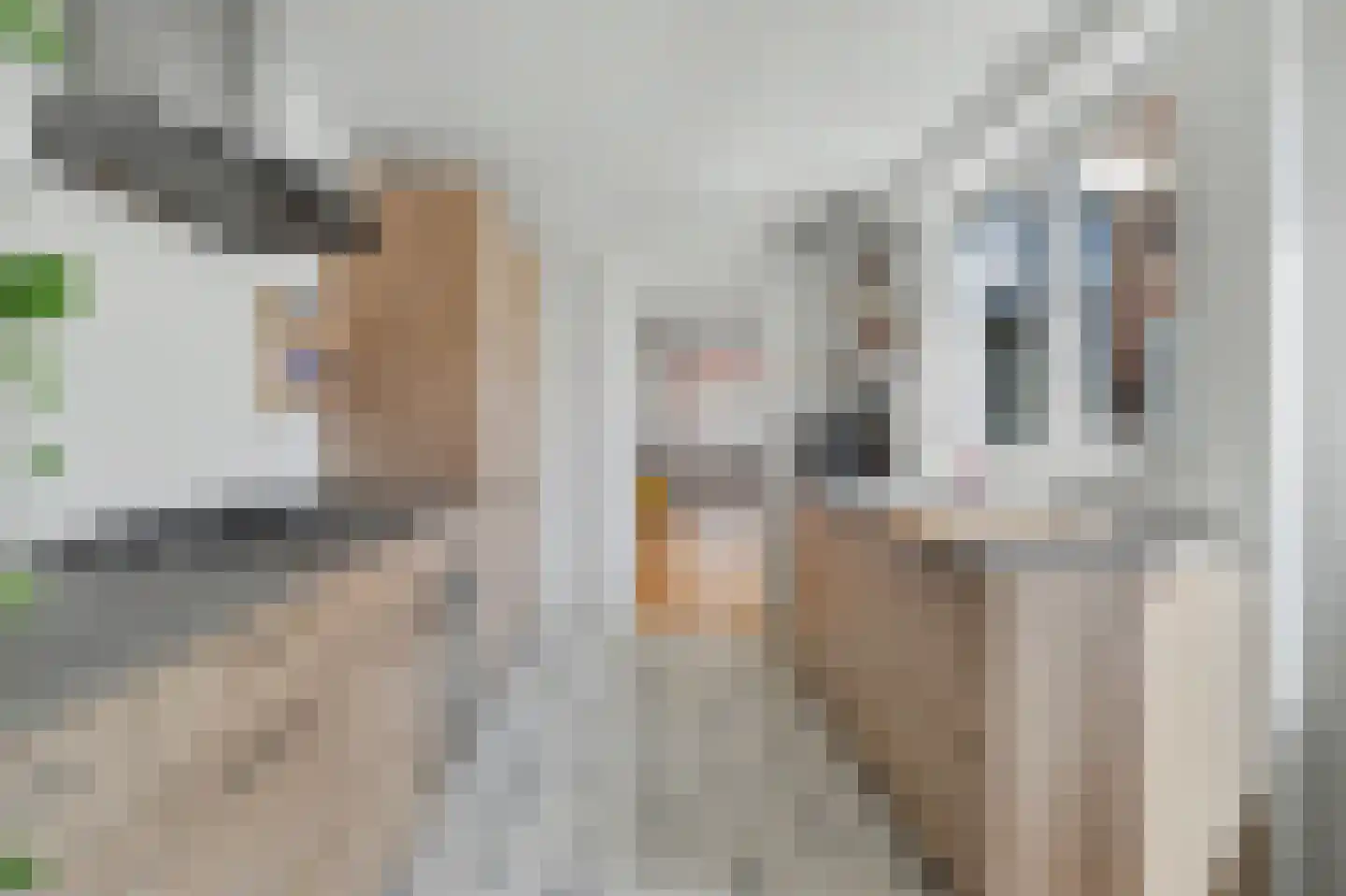 Hobbemastraat 32 Tilburg thumbnail 13