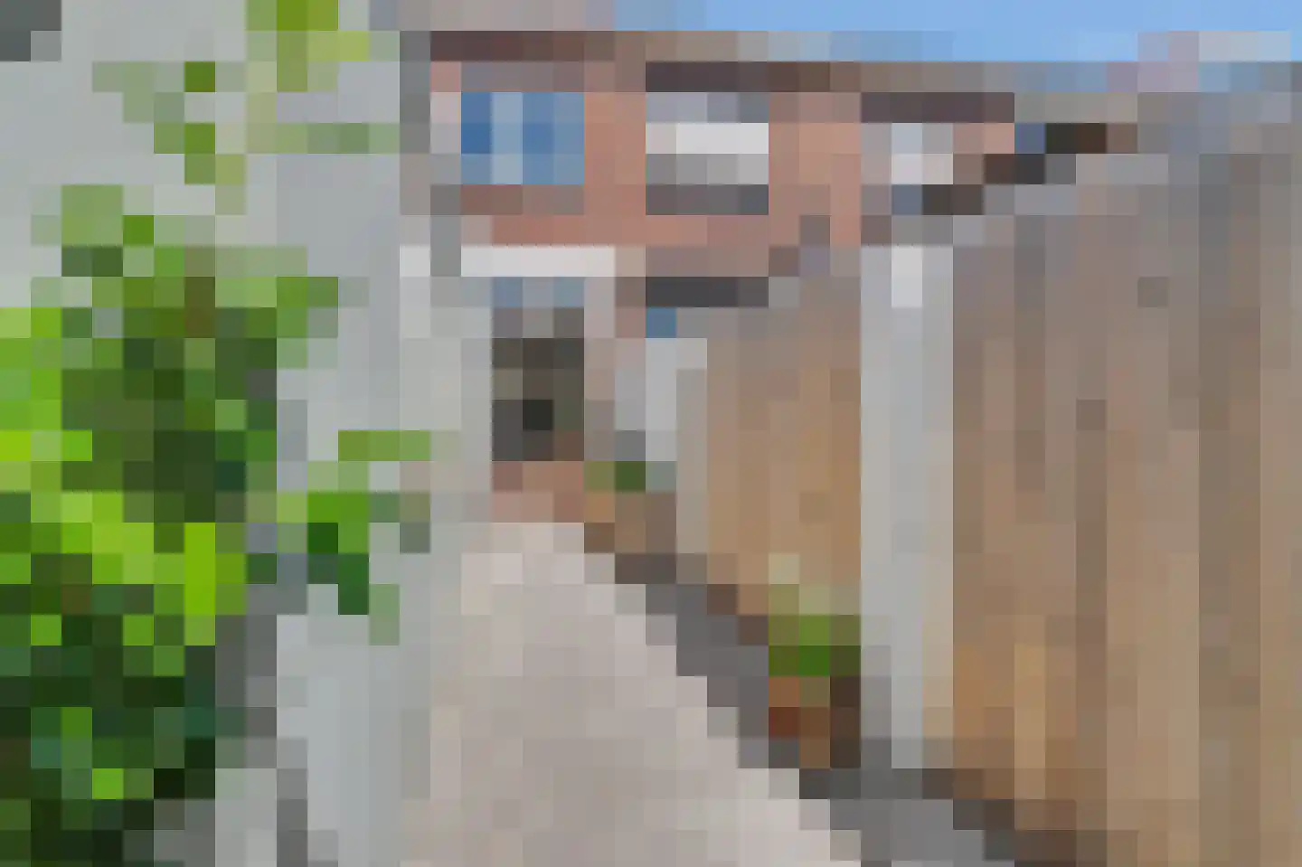 Hobbemastraat 32 Tilburg thumbnail 32