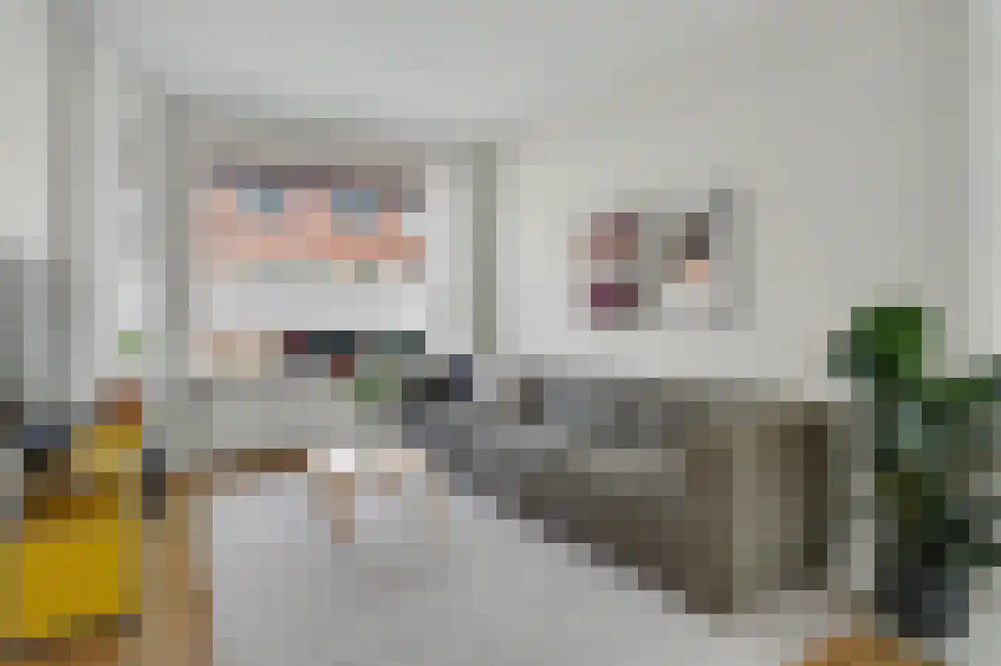 Hobbemastraat 32 Tilburg thumbnail 4