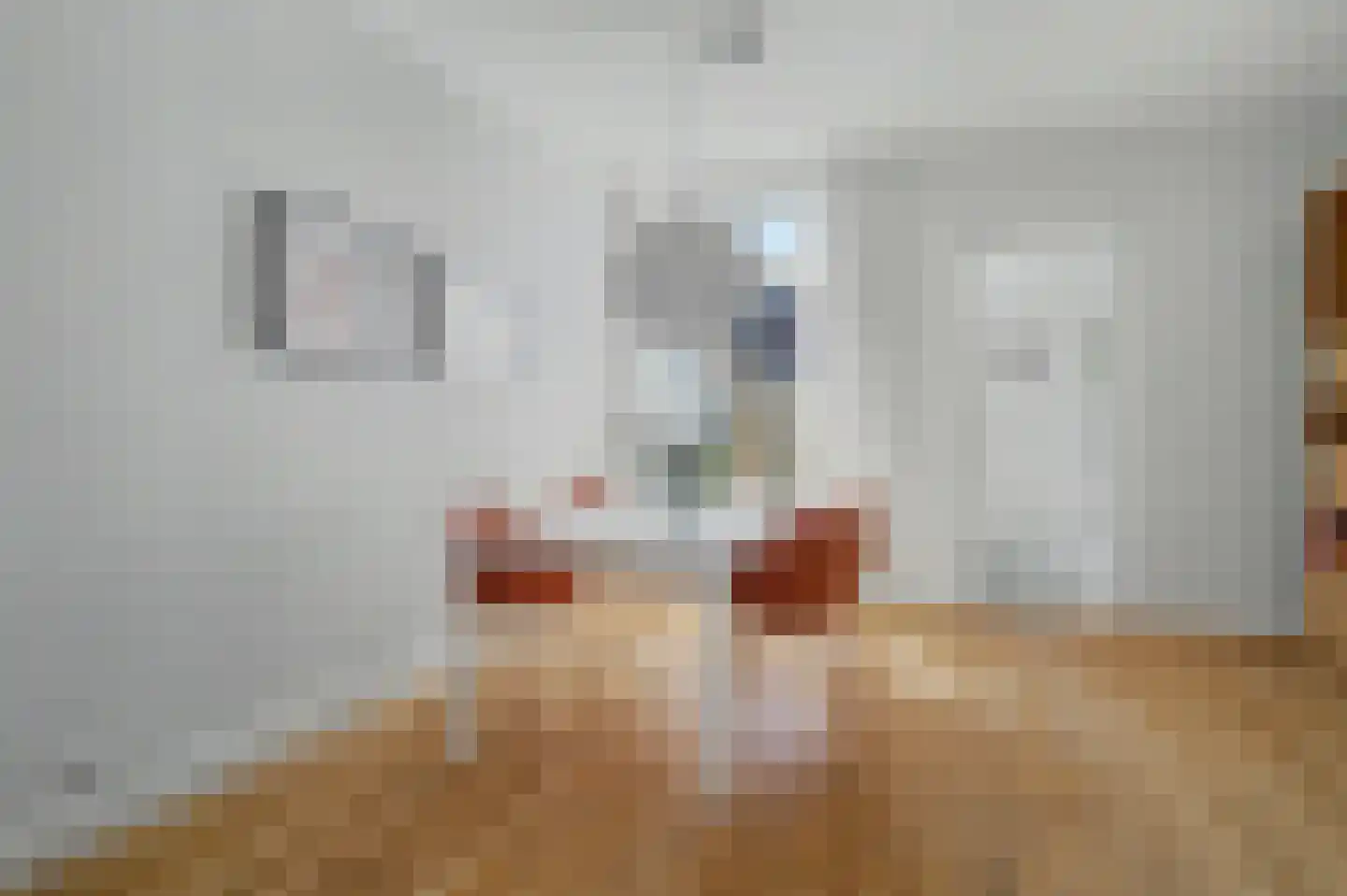 Hobbemastraat 32 Tilburg thumbnail 7