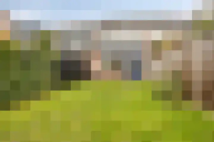 Hobbemastraat 33 Wolvega thumbnail 22