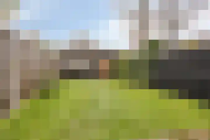 Hobbemastraat 33 Wolvega thumbnail 23