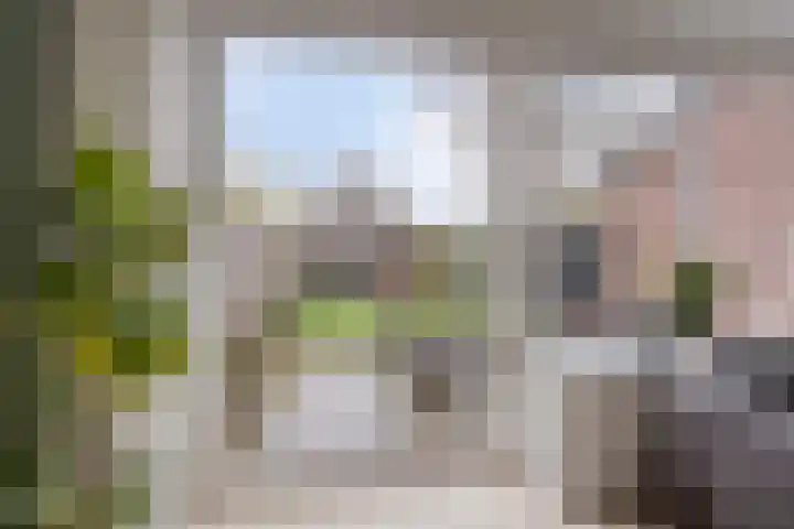 Hobbemastraat 33 Wolvega thumbnail 4