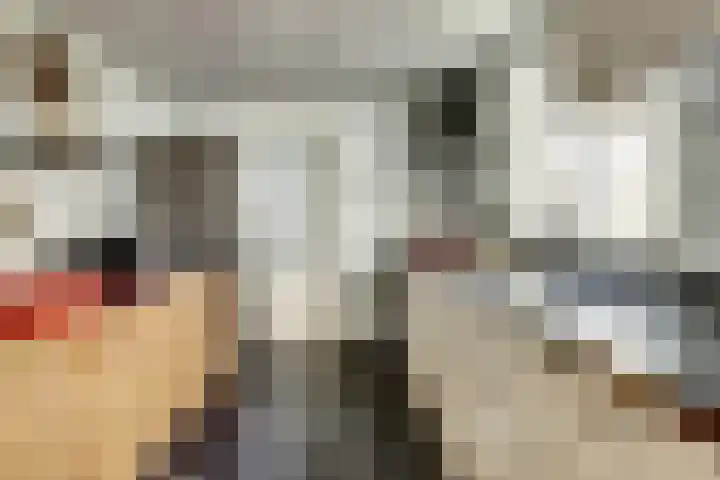 Hobbemastraat 38 Tilburg thumbnail 17