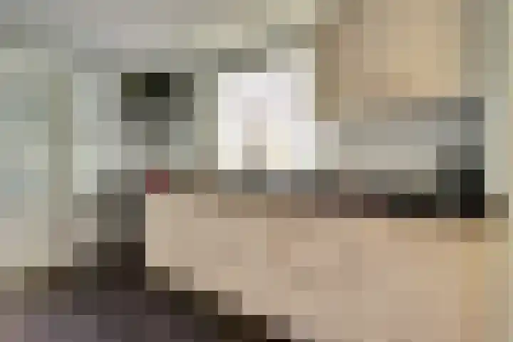 Hobbemastraat 38 Tilburg thumbnail 18