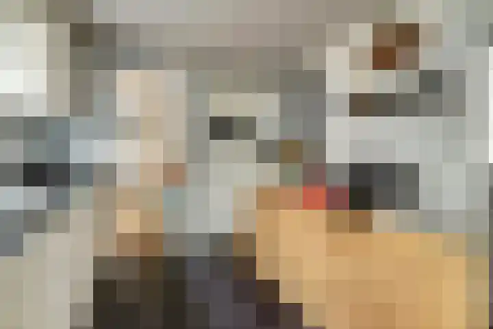 Hobbemastraat 38 Tilburg thumbnail 19