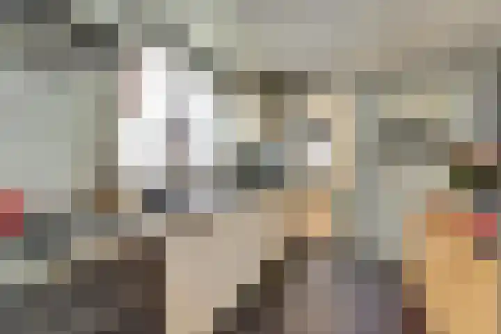 Hobbemastraat 38 Tilburg thumbnail 5