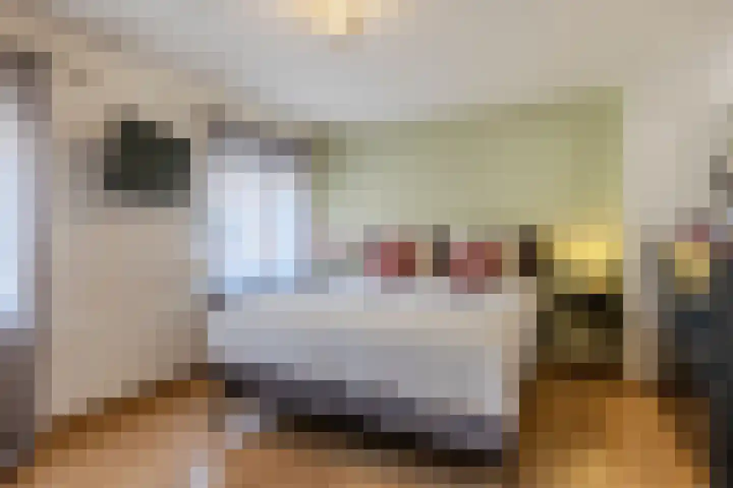 Hobbemastraat 42 Tilburg thumbnail 13
