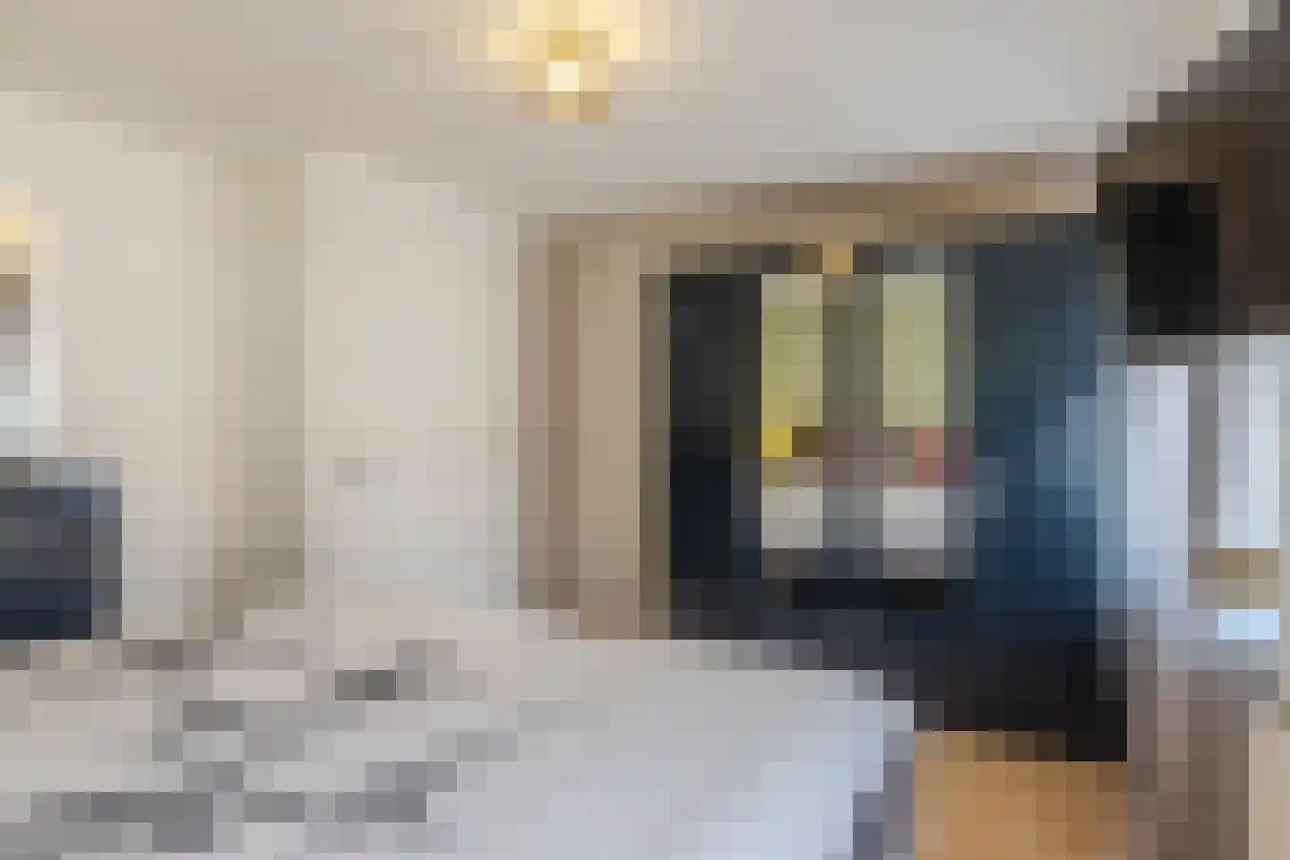 Hobbemastraat 42 Tilburg thumbnail 14