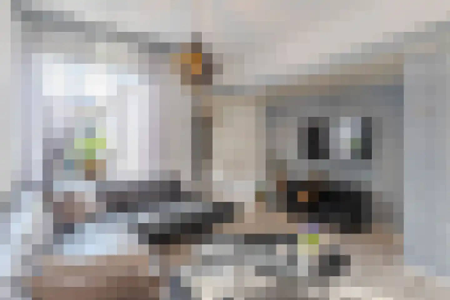 Hobbemastraat 42 Tilburg thumbnail 7