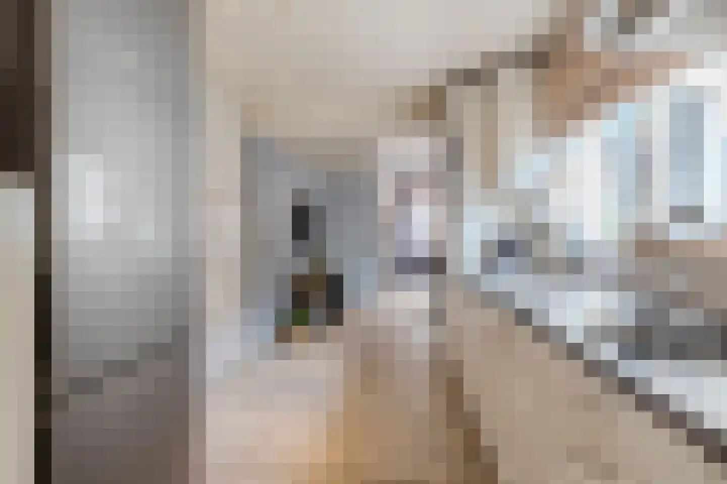 Hobbemastraat 42 Tilburg thumbnail 9