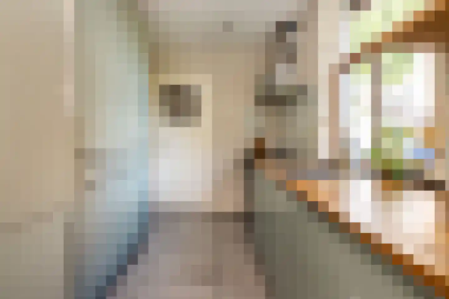 Hobbemastraat 47 Middelharnis thumbnail 12