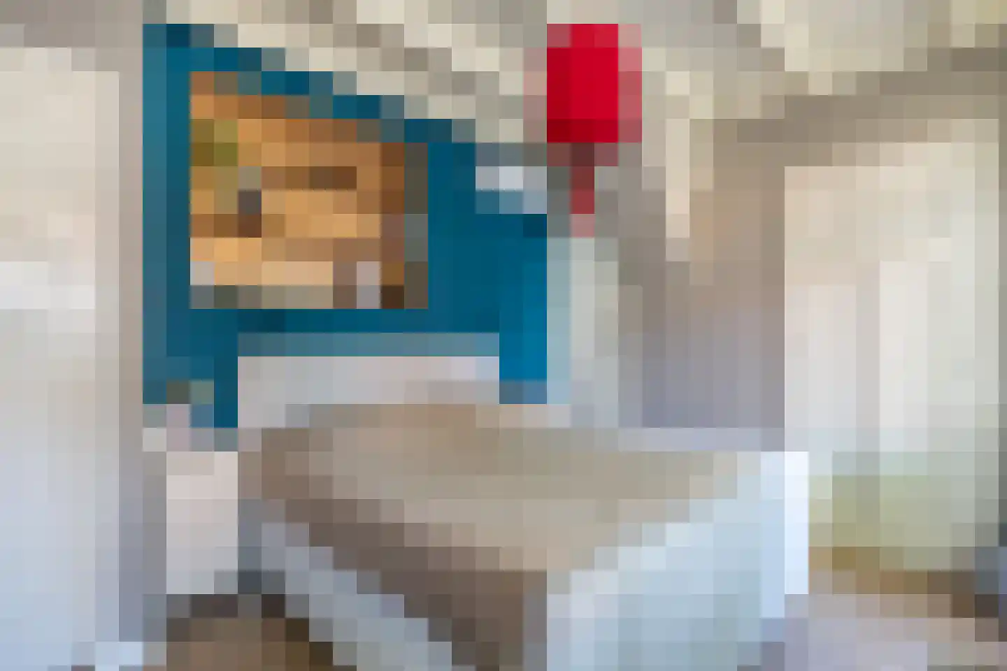 Hobbemastraat 47 Middelharnis thumbnail 20