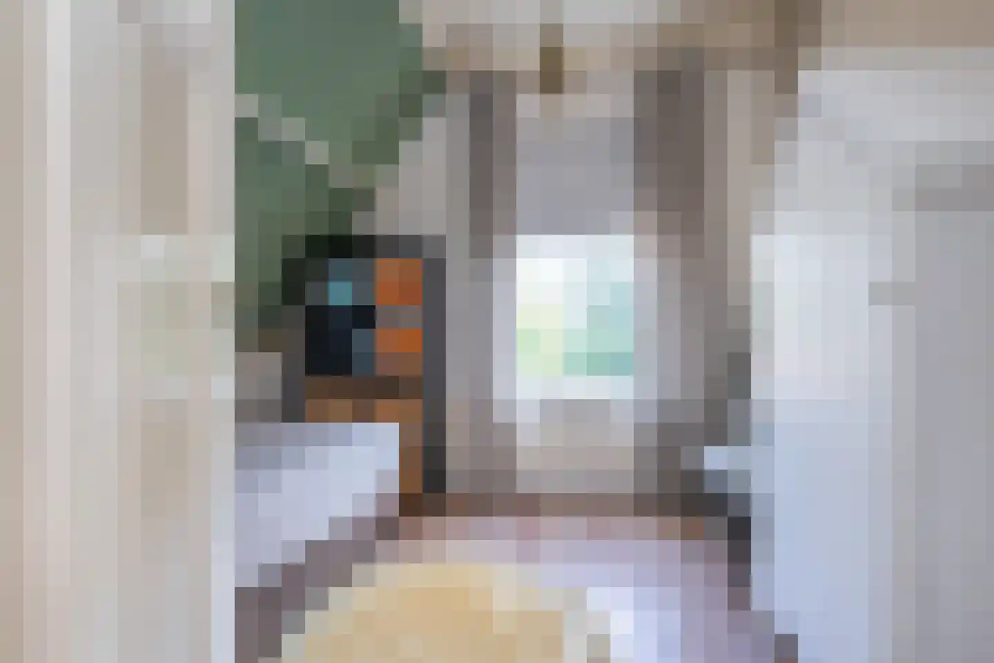 Hobbemastraat 47 Middelharnis thumbnail 24