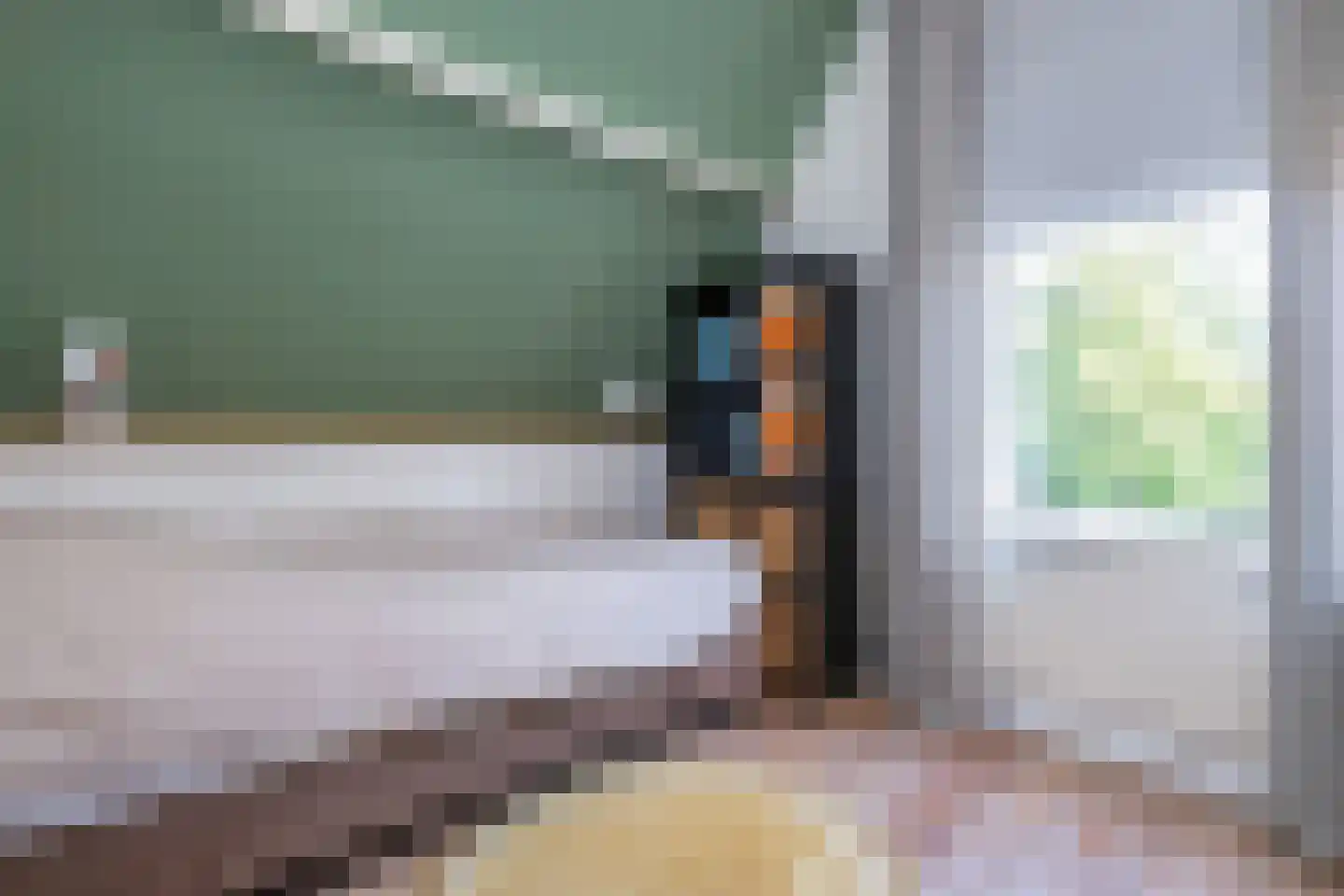 Hobbemastraat 47 Middelharnis thumbnail 25
