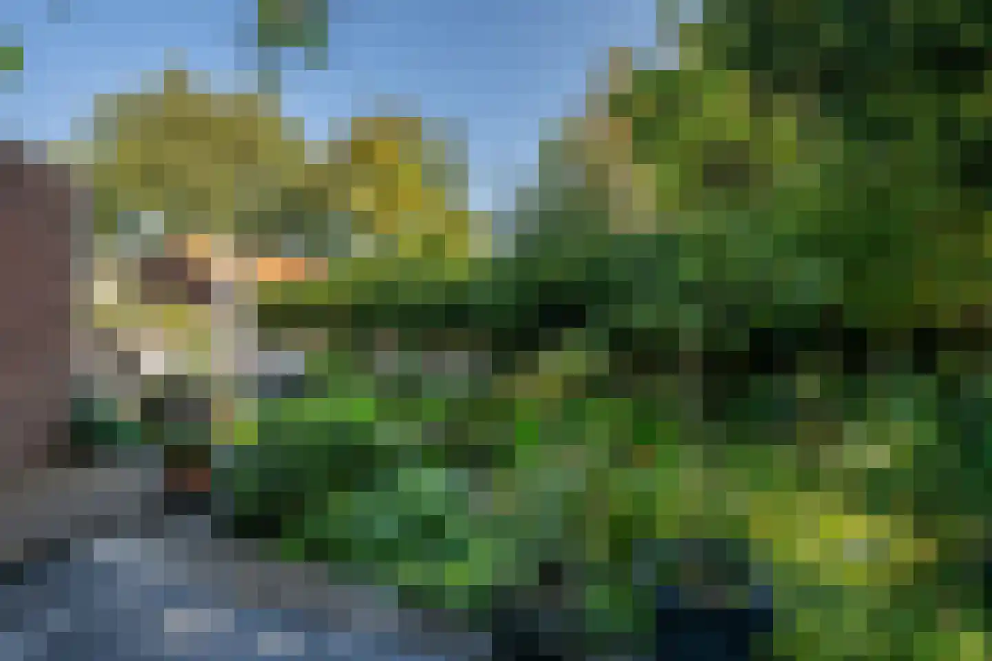 Hobbemastraat 47 Middelharnis thumbnail 34