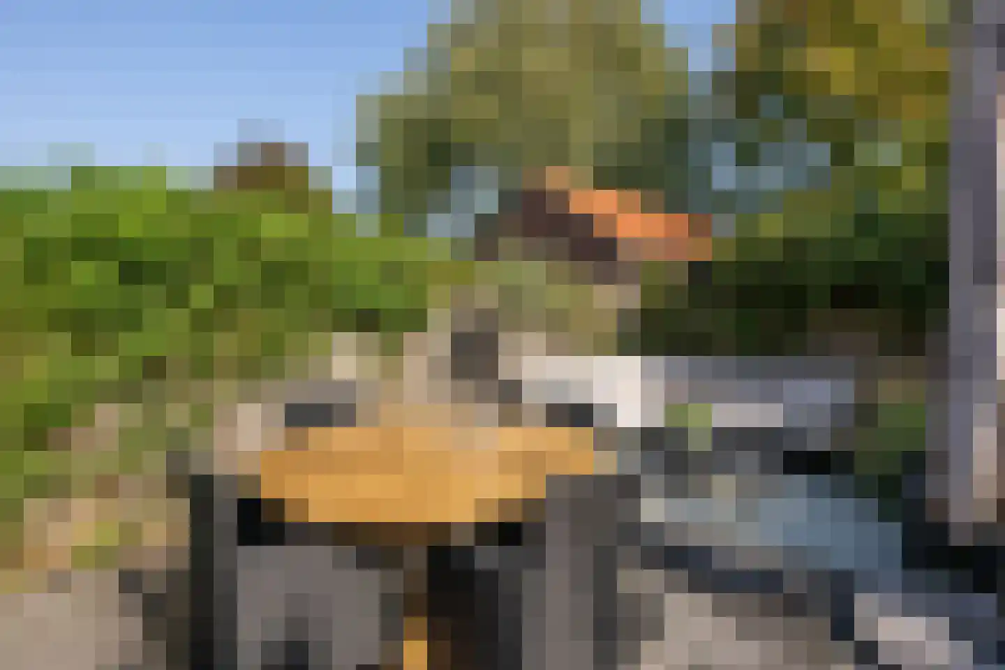 Hobbemastraat 47 Middelharnis thumbnail 35