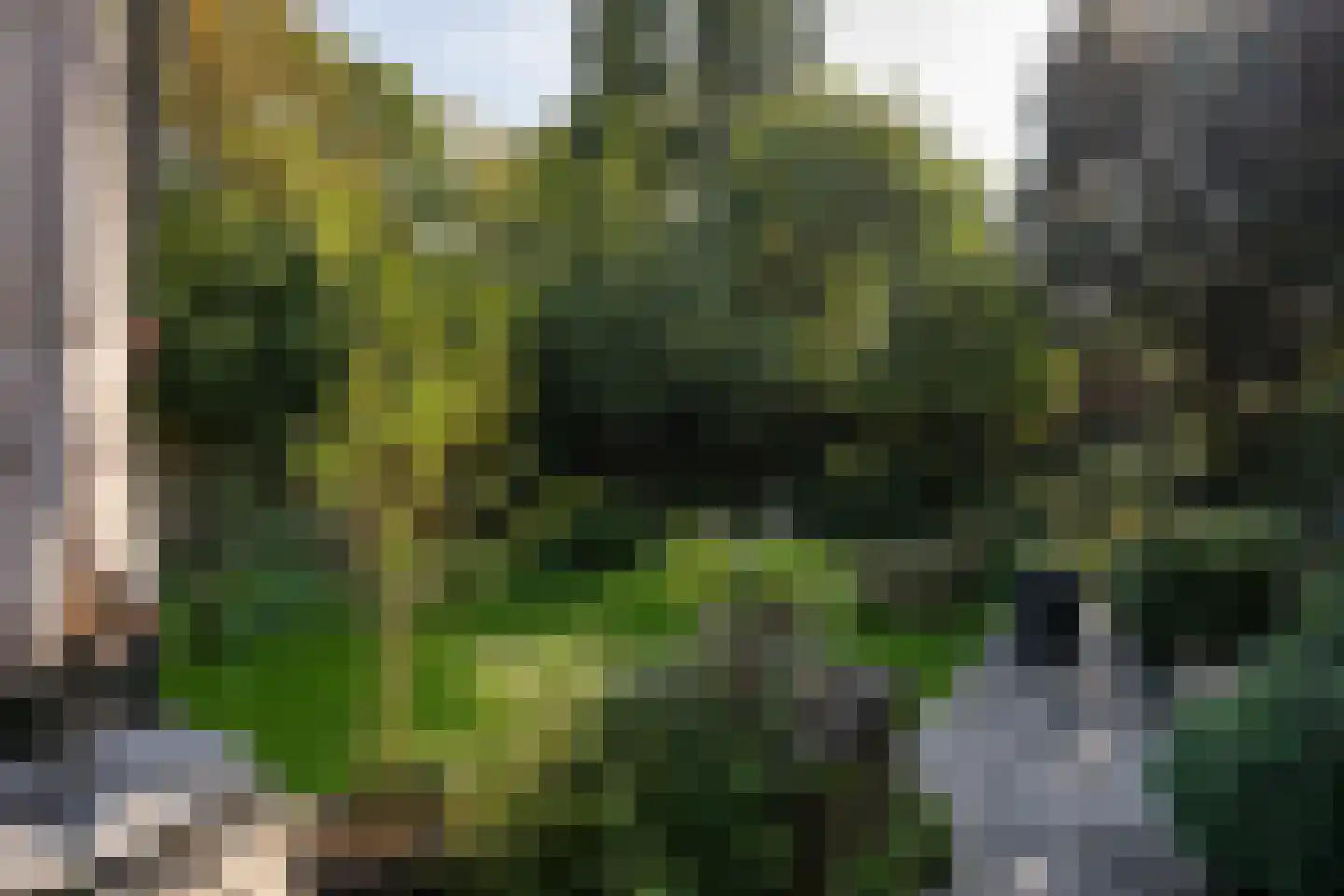 Hobbemastraat 47 Middelharnis thumbnail 36