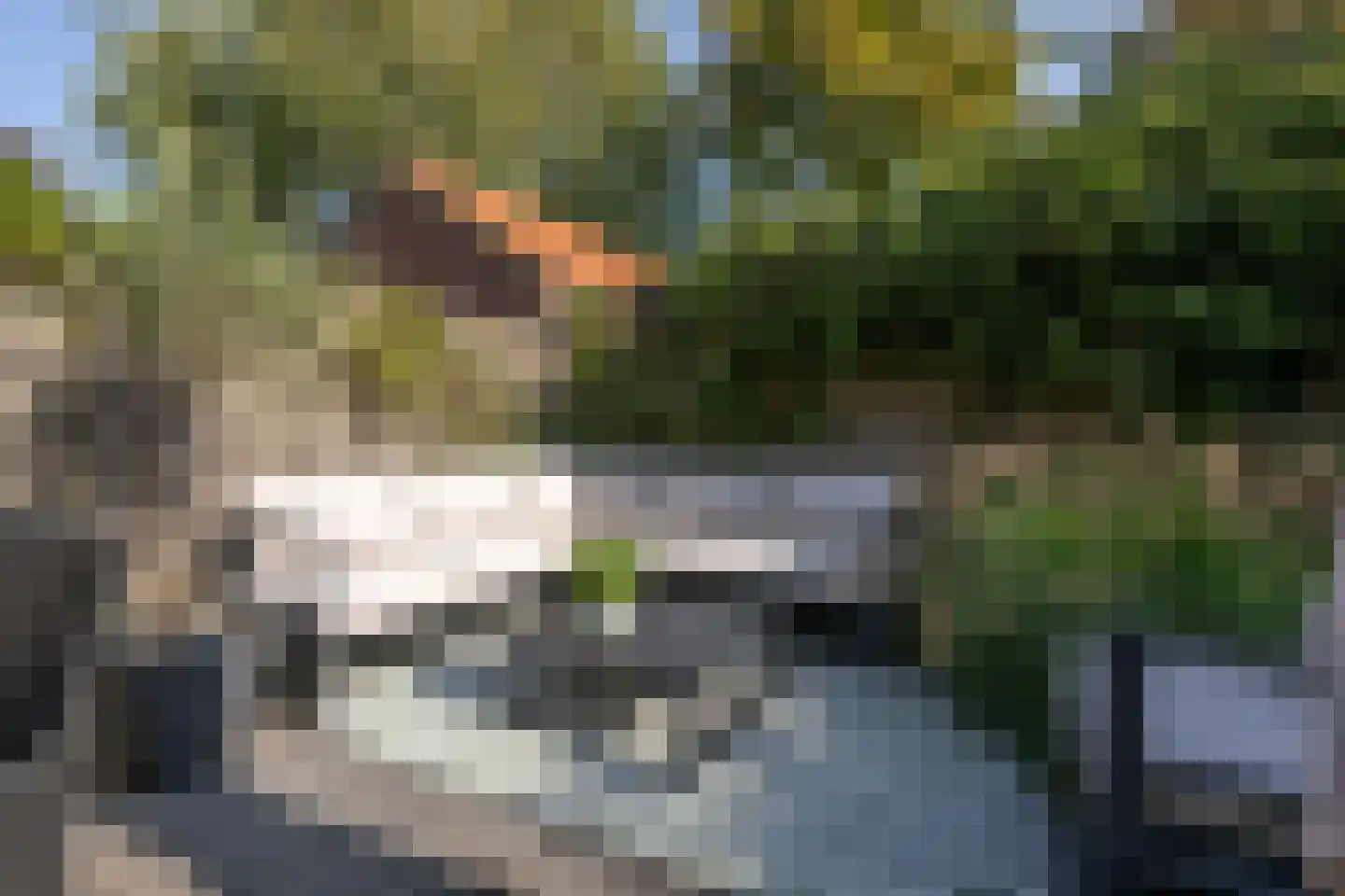 Hobbemastraat 47 Middelharnis thumbnail 37
